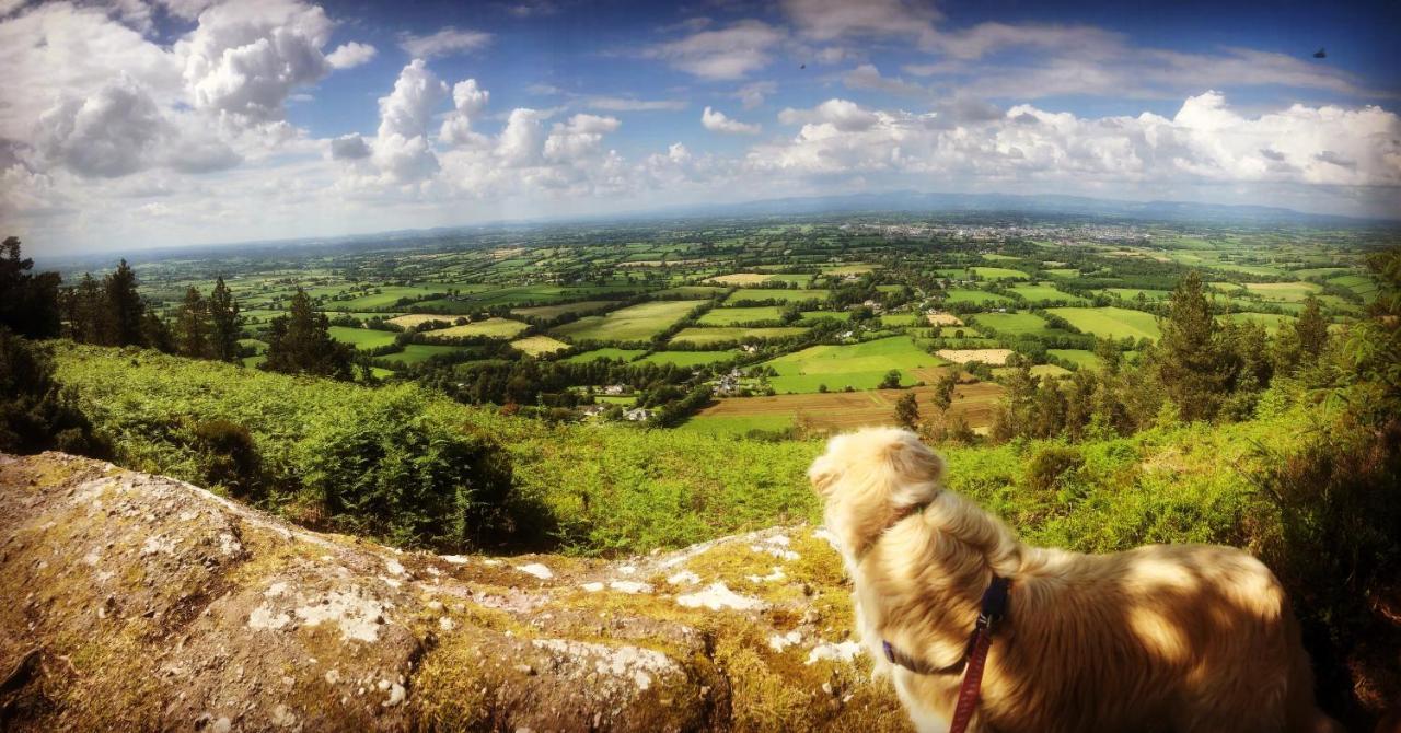 Ballyglass Country House Tipperary Ngoại thất bức ảnh