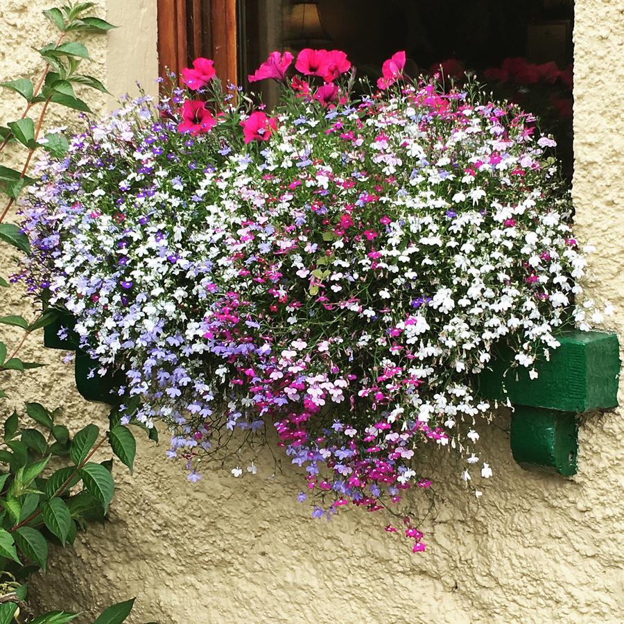 Ballyglass Country House Tipperary Ngoại thất bức ảnh